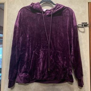 Purple Velour Hoodie